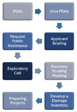 PDA Process Flow Chart